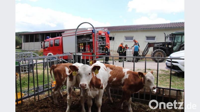 Für das kleine Friedersdorf hat sich der Wasserpreis um mehr als das Doppelte erhöht. Hauptabnehmer sind Landwirte mit Viehzucht, die täglich enorme Mengen an Wasser benötigen. Im benachbarten Rottendorf ist vor zwei Jahren die öffentliche Wasserlieferung ausgefallen: Da musste die Feuerwehr das wichtige Nass zu den Bauern bringen (Foto). Bild: td