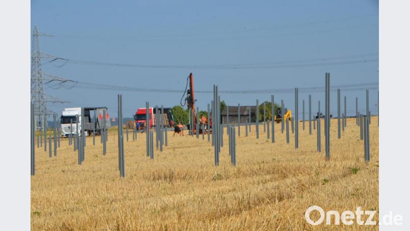 Die Halterungspfosten für die Freiflächen-Photovoltaikanlage sind bereits auf dem über 50000 Quadratmeter großen Areal kurz nach der Ortsausfahrt Altenstadt in der Erde verankert. Bild: dob