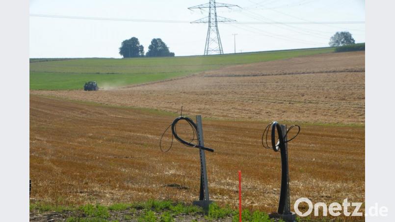 Dieses Bild macht den harten Wettbewerb der landwirtschaftlich genutzten Flächen und der erneuerbaren Energiegewinnung ganz besonders deutlich. Bild: dob