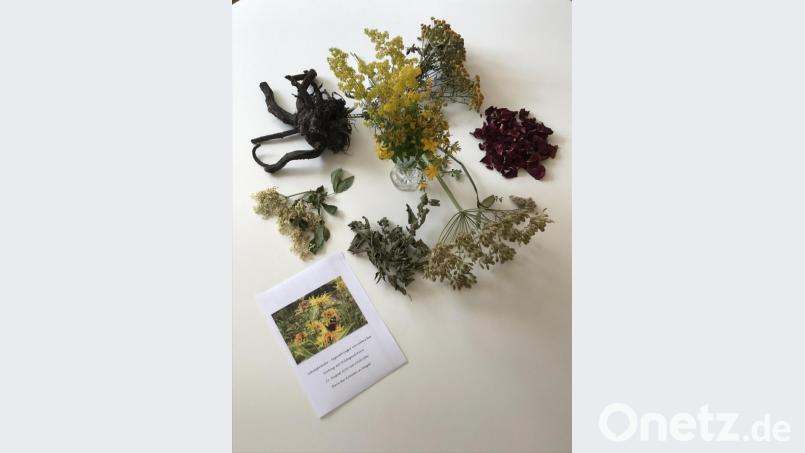 Die Teilnehmer konnten ausgewählte Kräuter begutachten. Bild: soj