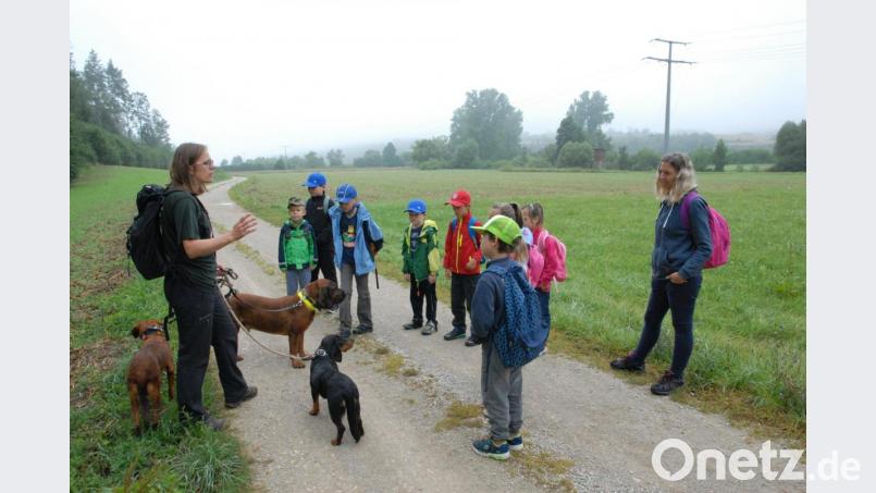 Viel zu sehen und zu lernen gab es bei der Naturwanderung mit Försterin Desiree Schwers ins Lauterachtal. Die Jagdhunde Enzo, Pia und Babsi hatten es den Kindern besonders angetan. Bild: pop