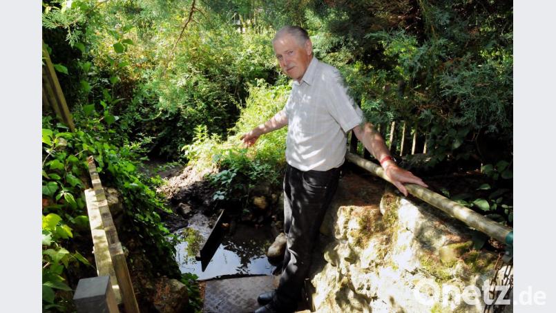 Hans Heinig, der Vorsitzende der Lengenloher Kleingärtner, an der letzten Wasserlache, die vom Ammerbach übrig ist. Und die versorgt er künstlich mit Wasser, um die Krebse darin zu retten. Bild: Stephan Huber