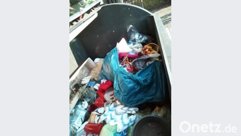 Ärgerlich, wenn im Grüngutcontainer Dinge entsorgt werden, die dort partout nicht hineingehören. Der Kirchenvorstand droht den Verursachern mit einer Anzeige. Bild: bk