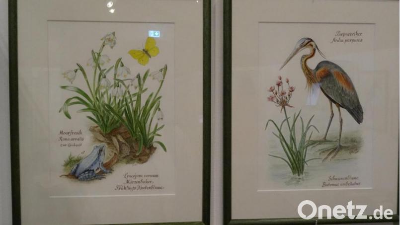 Nicht nur Pflanzen, sondern auch Tiere sind auf den meisten Blumen-Bildern Hildegard Christs zu sehen. Bild: hka