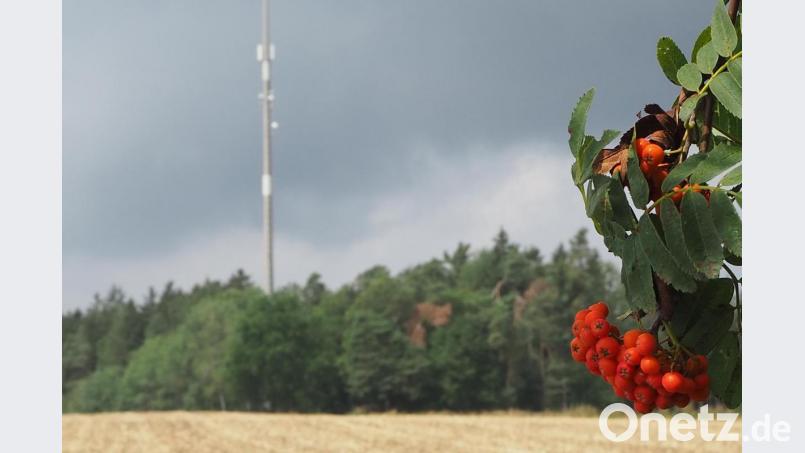 Der &quot;alte Fernsehturm&quot; von Hohentreswitz sendet wieder. Er wurde für den Mobilfunk umgerüstet und ist seit Anfang Juli laut Stadtrat Eduard Maier &quot;scharf geschalten&quot;. Bild: bl