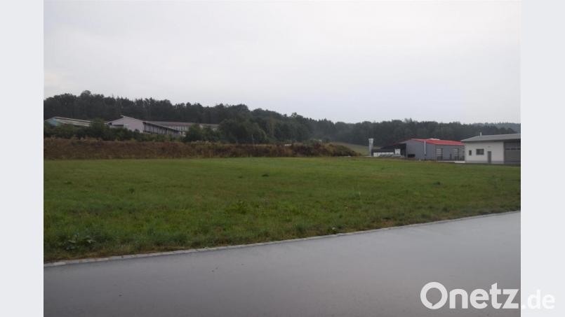 Das Areal an der Wiesenstraße, auf dem das Gesundheitszentrum gebaut werden soll. Hinter dem Lärmschutzwall liegt die Bundesstraße 22 und im Hintergrund sieht man das Heilpädagogischen Zentrum. Bild: fz