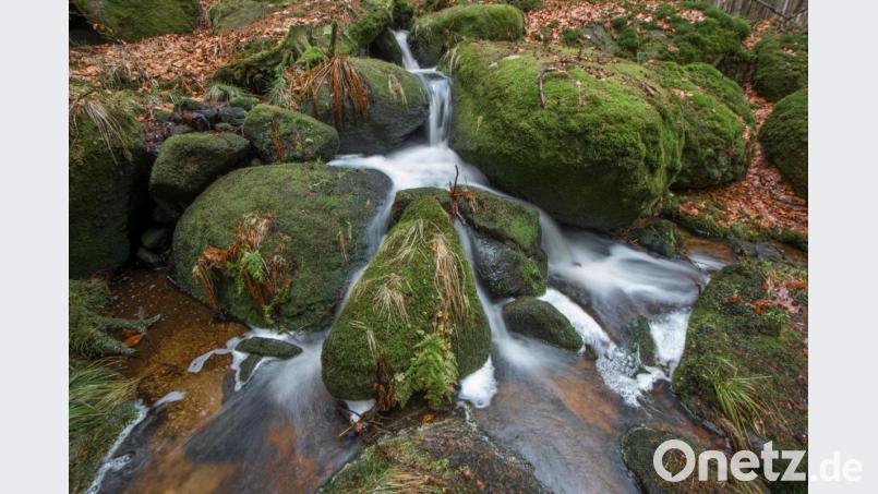 Ein Strudelbach im Naturpark Steinwald. Bild: sds