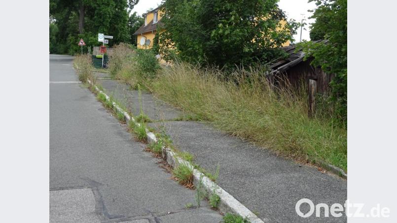 Die ehemalige Gartenlaube (rechts) ist am Zusammenbrechen, und entlang des Gehsteigs herrscht Wildwuchs-Chaos. Das geht seit Jahren so, doch bei der Deutschen Bahn ist dafür offenbar niemand zuständig. Schon den ehemaligen Bürgermeister Hans Schrott hat das geärgert. Und auch sein Amtsnachfolger Christian Ziegler ist sauer. Bild: Houschka