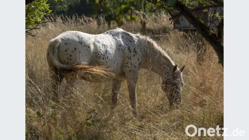 Symbolbild. Bild: Boris Roessler/dpa
