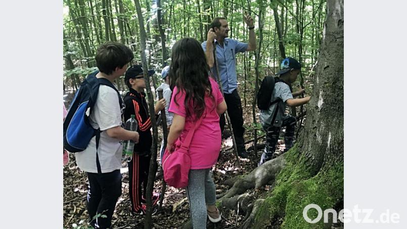 Kinder besuchen mit dem Förster den Wald. Bild: R. Kreuzer