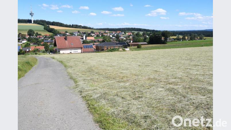 Am Kirchberg II ist beliebt. Die Parzellen haben viele Interessenen. Bild: Gabi Schönberger