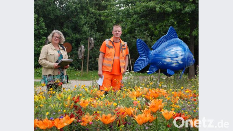 Eva Gibhardt von der Steinwald-Allianz und Stadtgärtner Florian Frank tauschen sich über die Herbstansaat von Blühstreifen aus. Bild: Vogl, Christa