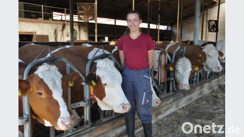 Die 19-Jährige Theresa Bäumler aus Obetresenfeld hat seit kurzem ihre Ausbildung beendet und ist nun „Staatlich ausgebildete Landwirtin“. Mit einem sagenhaften Notendurchschnitt von 1,1 überzeugte sie bei der Gehilfenprüfung Ausbilder und Prüfer zugleich. Sie war damit die Beste ihres Jahrgangs im Zuständigkeitsbereich des Amts für Ernährung, Landwirtschaft und Forsten in Weiden (AELF). Bild: dob