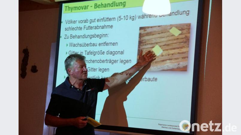 Bienensachverständiger Josef Ernst erläutert hier auf die Anwendung von Thymovar. Bild: bkr