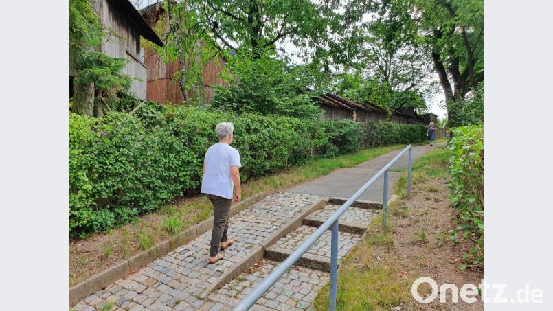 27 Meter lang ist die &quot;städtische&quot; Weißdorn-Hecke (links), für die Helga Suttner die Pflegepatenschaft übernommen hat, um sie vor der Beseitigung durch die Stadt zu bewahren. Die Hecke (rechts) jenseits des Gehsteigs hin zur Hofackerstraße, pflegt die Stadt aber weiterhin selbst. Bild: Josef Wieder