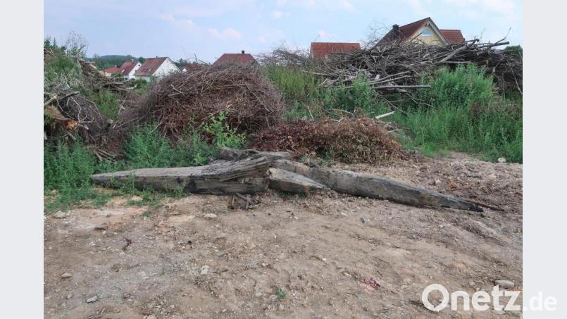 Bei Baggerarbeiten an der Vilsbrücke werden uralte Eichenpfähle gefunden, die vermutlich von einer alten Holzbrücke über die Vils stammen und die die Stadt Vilseck vor der Entsorgung retten konnte. Bild: rha