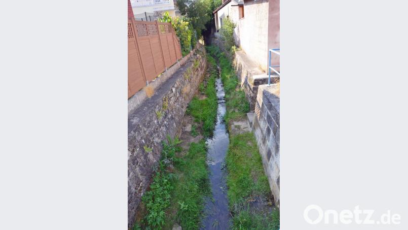 Von den Bächen Thumbach und Grubbach ist nur ein Rinnsal übrig geblieben, wie dieses Bild – entstanden bei der Brücke in der Mühlbachstraße – zeigt. Bild: ü