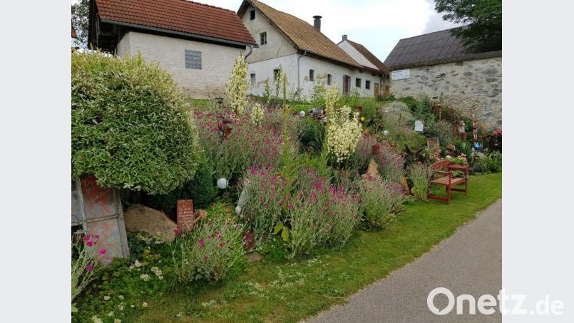 Am Frauensteinweg in Pondorf fällt dieser bepflanzte Hang ins Auge. Bild: Norbert Eckl/exb
