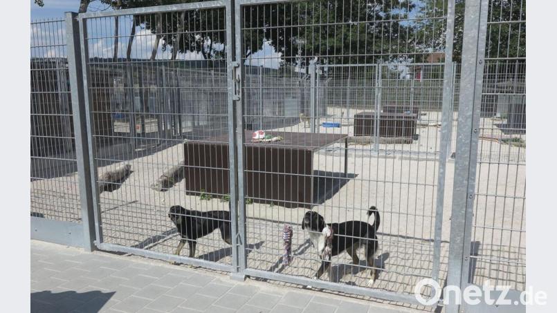 Bislang zahlt die Gemeinde einen jährlichen Beitrag in Höhe von 50 Cent pro Einwohner an das Tierheim. Diese Summe wird nun verdoppelt. Bild: ohr