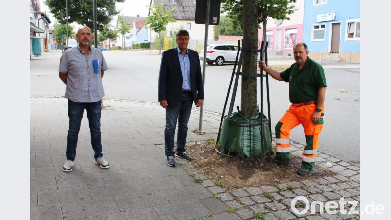 Oliver Fehr, Edgar Knobloch und Alexander Eismann (von links) haben sich etwas zur Verbesserung der Bewässerung der Bäume im Stadtgebiet einfallen lassen. Bild: sne