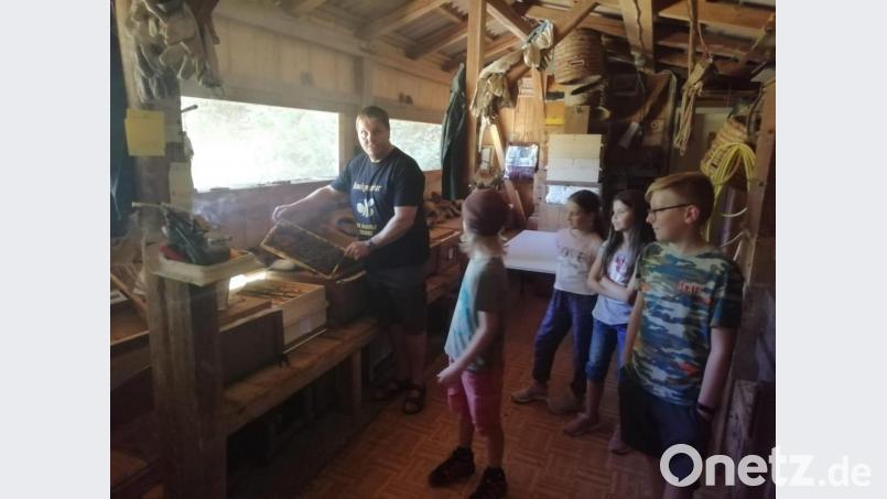 Ferienprogramm beim Imkerverein Tirschenreuth. Bild: hä