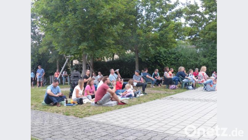 Viele Besucher machten es sich auf der Wiese bequem. Bild: hme