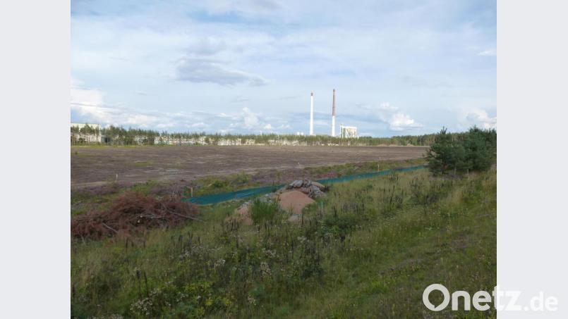 Direkt neben dem Floatwerk der NSG/Pilkington soll das neue Flachglaswerk auf dem 100 000 Quadratmeter großen Gelände entstehen. Weitere rund 120 Arbeitsplätze werden geschaffen. Der Baustart hat sich wegen Corona auf Anfang Januar verschoben. Bild: bk