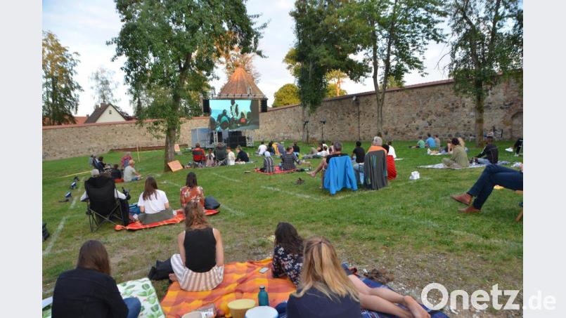 In herrlicher Kulisse des Schlossgartens verfolgten die Zuschauer den Film &quot;Mediterranea&quot;. Es war die Letzte von insgesamt drei Veranstaltungen der &quot;Schaltlücke&quot; und &quot;Mivoh&quot;. Bild: dob