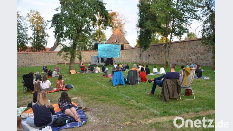 In herrlicher Kulisse des Schlossgartens verfolgten die Zuschauer den Film &quot;Mediterranea&quot;. Es war die Letzte von insgesamt drei Veranstaltungen der &quot;Schaltlücke&quot; und &quot;Mivoh&quot;. Bild: dob