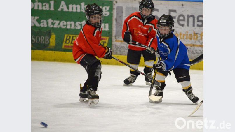 Der Eishockey-Nachwuchs des ERSC Amberg soll demnächst wieder aufs Eis gehen können. Bild: ref