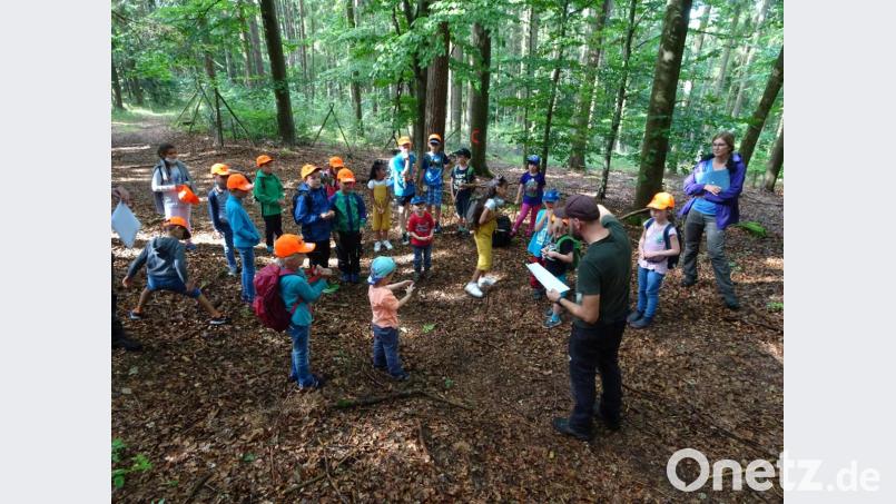 Äußerst interessant und lehrreich gestaltete Förster Andreas Arnold die &quot;Waldolympiade&quot;. Bild: stn
