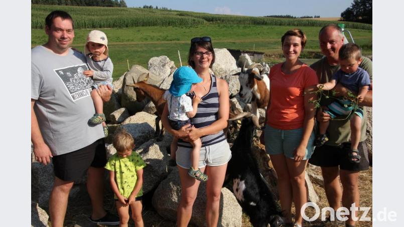 Franziska und ChristianSchedl mit ihrem Sohn Sebastian (rechts) bieten familiären Urlaub auf dem &quot;Gowerlhof&quot;. Hier sind sie mit der Familie Thonig aus Goslar bei ihren Ziegen. Bild: kro
