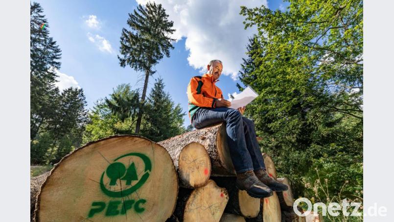 Alles gut! Winfried Pfahler, Leiter des Forstbetriebs Fichtelberg, freut sich über das sehr gute Ergebnis, das der Forstbetrieb bei der PEFC-Zertifizierung erreicht hat. Bild: Martin Hertel/exb