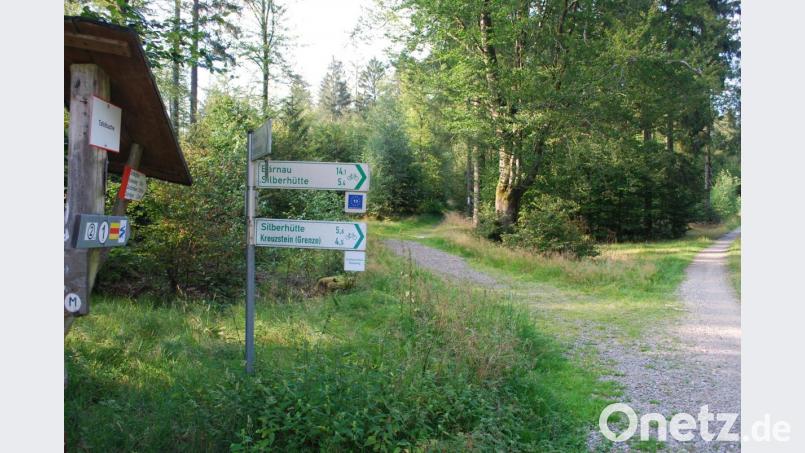 Kurz hinter dem Parkplatz &quot;Planer Höhe&quot; führen ausgewiesene Radwege auf die Silberhütte. Auf dem Wanderweg links geht es ebenfalls auf die Silberhütte, vorbei an der imposanten Burgruine Schellenberg. Diese Strecke ist für Mountainbiker oft reizvoller. Bild: Schreiber