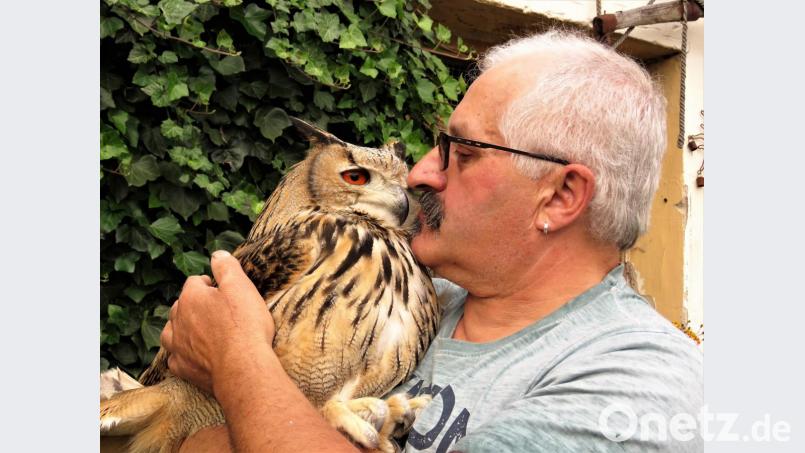 Ziemlich beste Freunde: Die Eule Maja und Josef Freundl verstehen sich bestens. Bild: ubb