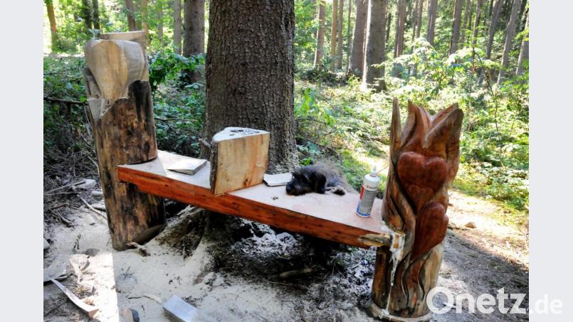 Um diese (inzwischen wieder reparierte) Bank geht es: Ein unbekannter hat das Holzkunstwerk im Wald bei Gailoh (Amberg) beschädigt. Waldbesitzer Johann Heinrich hat sich darüber so geärgert, dass er jetzt eine Belohnung für die Ermittlung des Täters aussetzt. Bild: Stephan Huber
