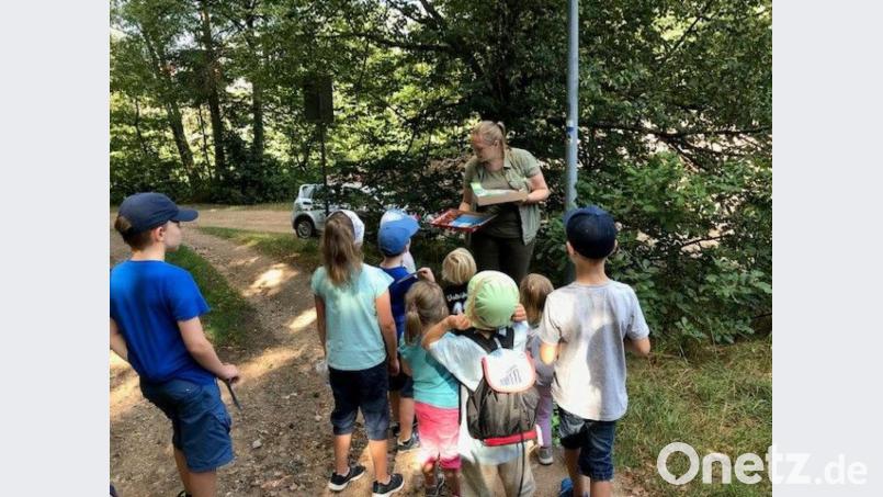 Unter dem Motto „Augen auf und raus in die Natur“ besuchten die Kinder den Waldlehrpfad Bild: Martina Hölzl/exb