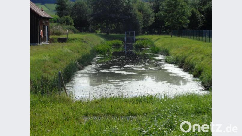 Dieser Nachklärteich wird durch ein Nachklärbecken mit festem Boden ersetzt Bild: amö