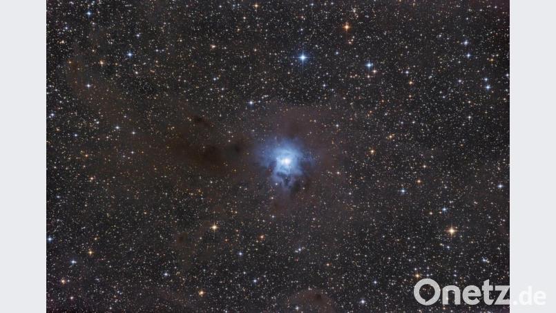 Martin Sponsel vom Förderverein Volkssternwarte Amberg-Ursensollen den Sternhaufens NGC 7023 aufgenommen. Bild: Martin Sponsel