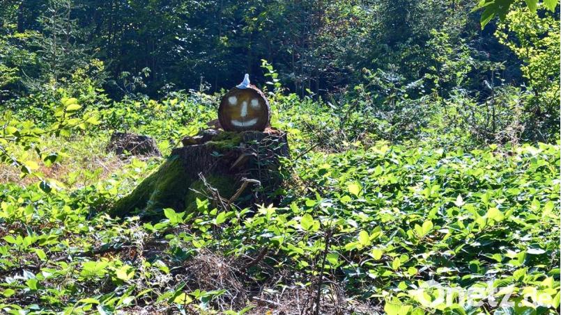 Wer wohl dieses Männchen am Rundwanderweg der Kulmstadt aufgestellt hat? Bild: rpp