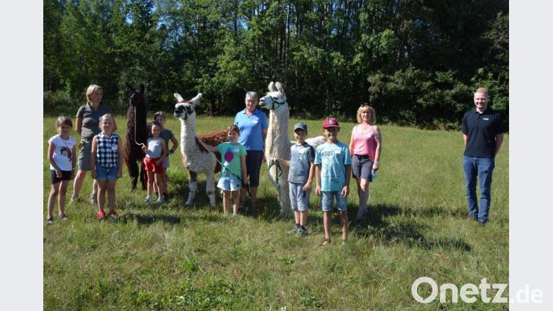 Die drei Lamas (von links) Zambesi, Richard und Vailoso genossen die Anwesenheit der Kinder. Jutta Fischer (hinten links) hatte die Kinder auf ihren Hof „Lucianos Welt“ eingeladen. Mit dabei Rita Härtl (Zweite von rechts) und Gertrud Gögl vom Seniorenbeirat, sowie Jugendbeauftragter Christoph Hampel. Bild: jr