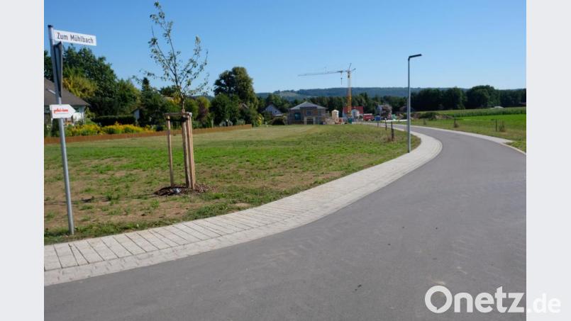 Nun ist die Siedlungsstraße &quot;Zum Mühlbach&quot; auch offiziell eine Straße im Sinne des Bayerischen Straßen- und Wegegesetzes. Die neue Anliegerstraße ist 345 Meter lang und erschließt das Baugebiet Maifurt in Tremmersdorf. Bild: do