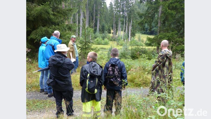 &quot;Insgesamt muss der Wald viel stärker durchmischt werden&quot;, forderte Wolfgang Schödel bei der Exkursion. Bild: Bund Naturschutz/exb