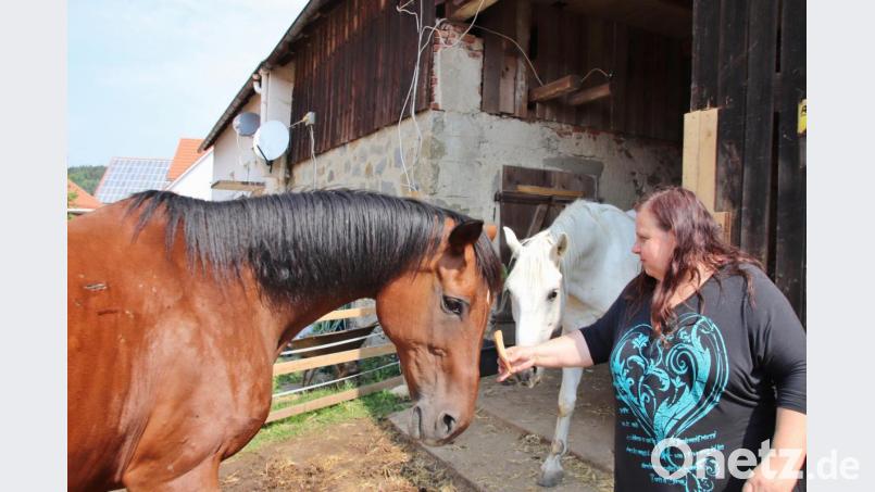 Manuela Meyer liebt ihre beiden älteren Pferde und glaubt sich vom Veterinäramt zu Unrecht beschuldigt, die Tiere auf ihrem Anwesen nicht artgerecht zu halten. Bild: Dobler