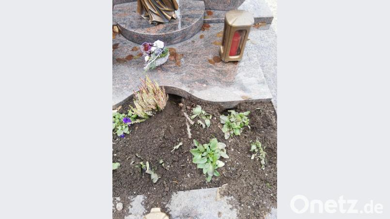 Ein Grab sucht das Tier immer wieder auf und verwüstet es. "Das ist schrecklich für die Angehörigen", sagt Bürgermeister Sebastian Hartl. Die Gemeinde versucht nun alles, um dem Übeltäter auf die Spur zu kommen. Bild: hme