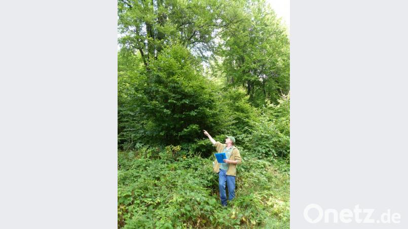 Förster Wolfgang Schödel erklärte die Gefahren des Klimawandels für den Wald. Bild: Bund Naturschutz/exb