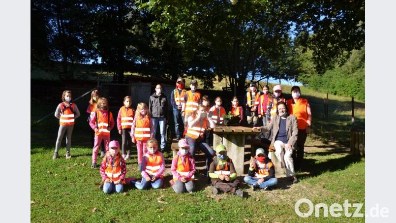 Die Waldpädagogin Erika Grötsch (rechts) von der VHS Vohenstrauß vermittelt den Kindern Freude am Wald. Bild: gi