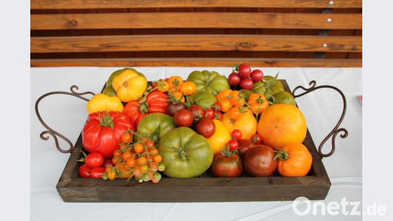 Die Vielfalt an Tomaten was Sorten und Verwendung betrifft, birgt einen Genuss für Gaumen und Augen und macht dieses Gemüse zum Liebling in Garten, Balkon und Küche. Bild: ads
