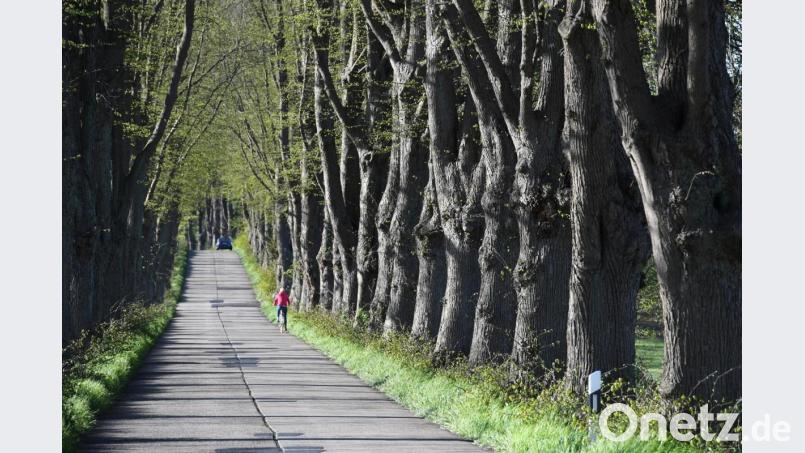 Symbolbild. Bild: Stefan Sauer/dpa