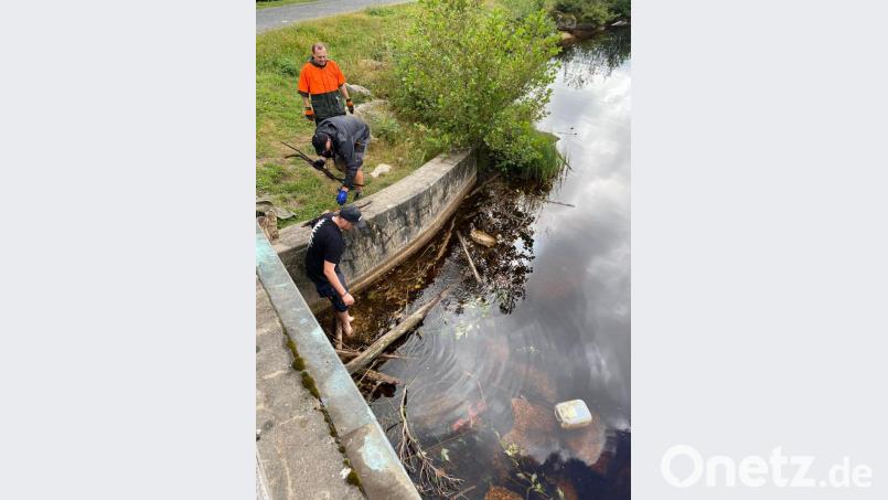 Ortsverschönerung rund um den Fichtelsee Bild: gis